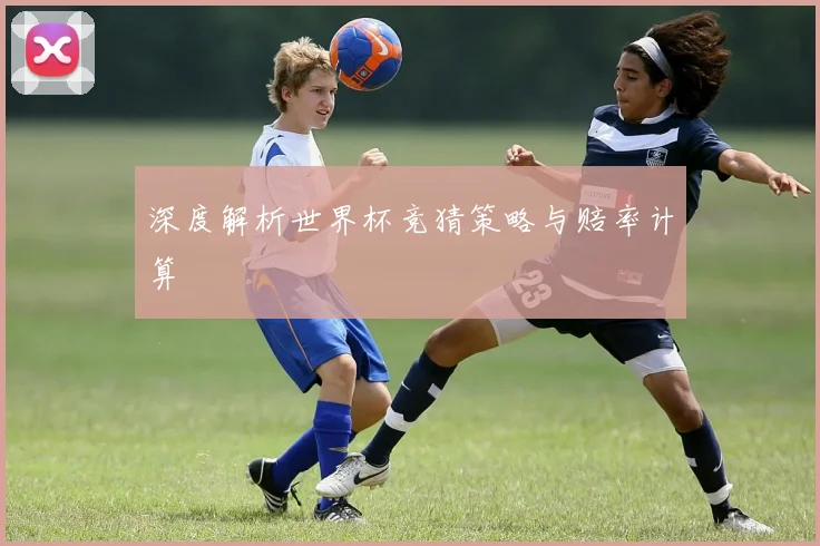 深度解析世界杯竞猜策略与赔率计算
