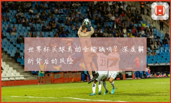 世界杯买球真的会输钱吗?深度解析背后的风险