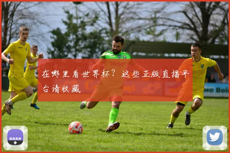在哪里看世界杯?这些正版直播平台请收藏
