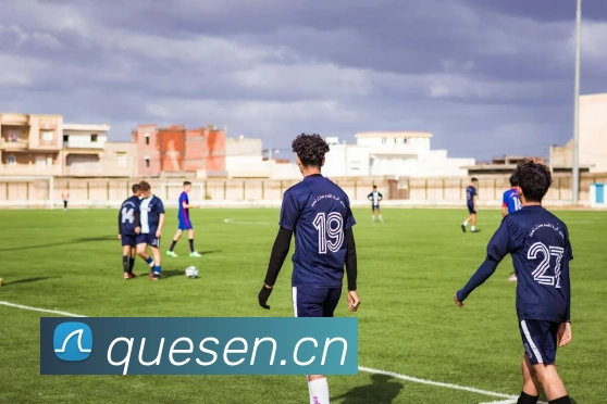 hth华体官网登录入口平台生态图